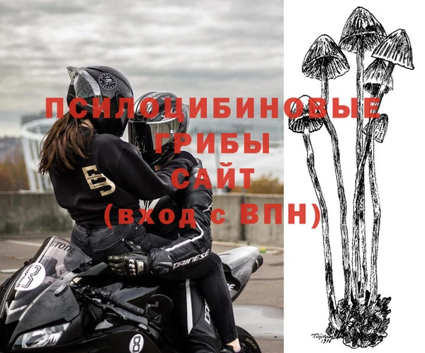 гидропоника Баксан